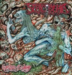 Septicopyemia : Vomiting Swamp